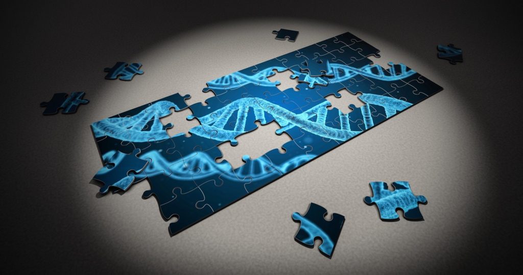 The Immune System Puzzle
